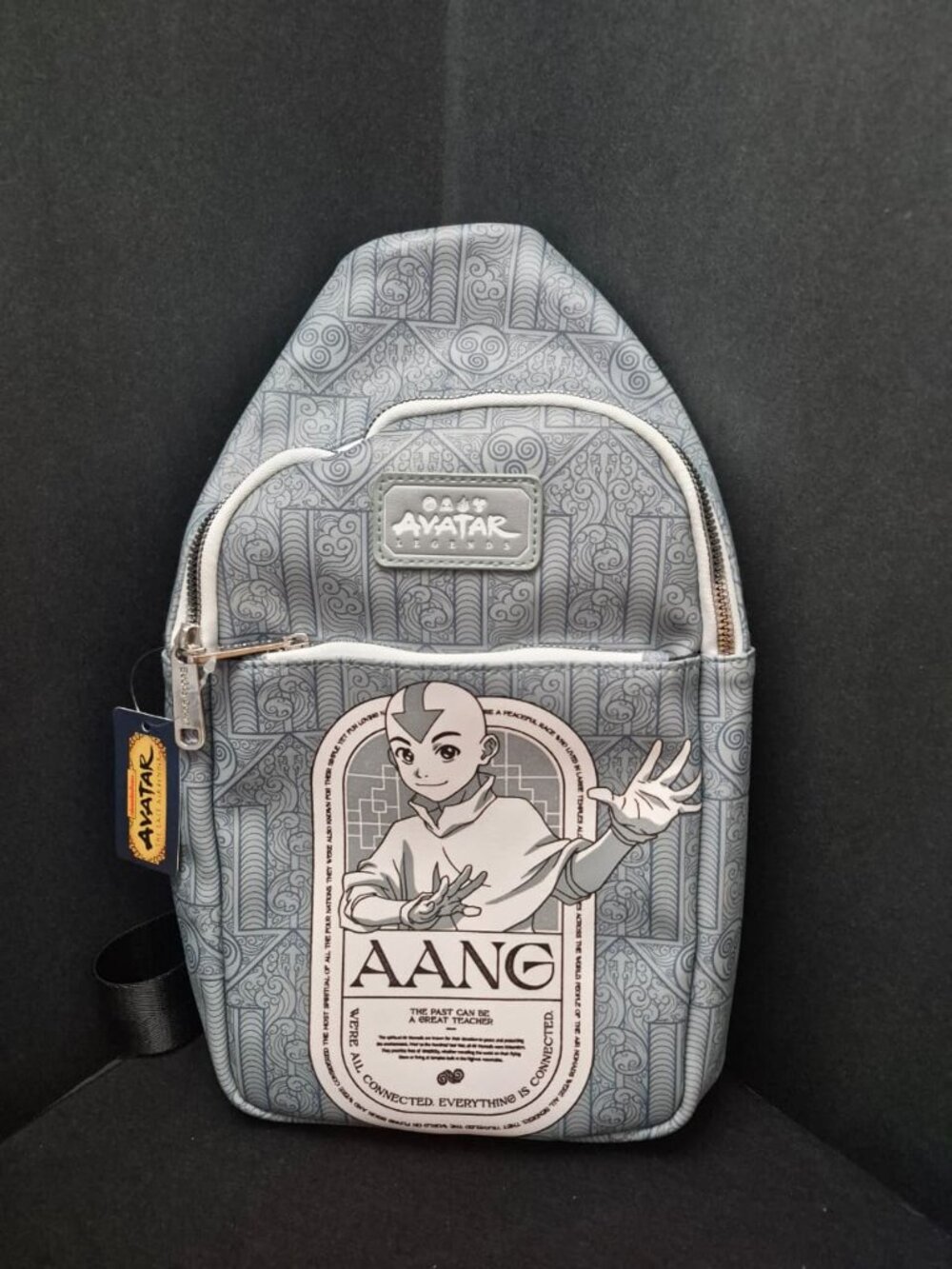 Avatar The Last Airbender Aang Crossbody Sling Bag BoxLunch New With Tag